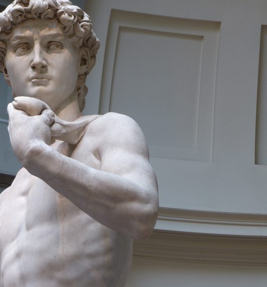 Die-Statue-des-Michelangelo-Hettl